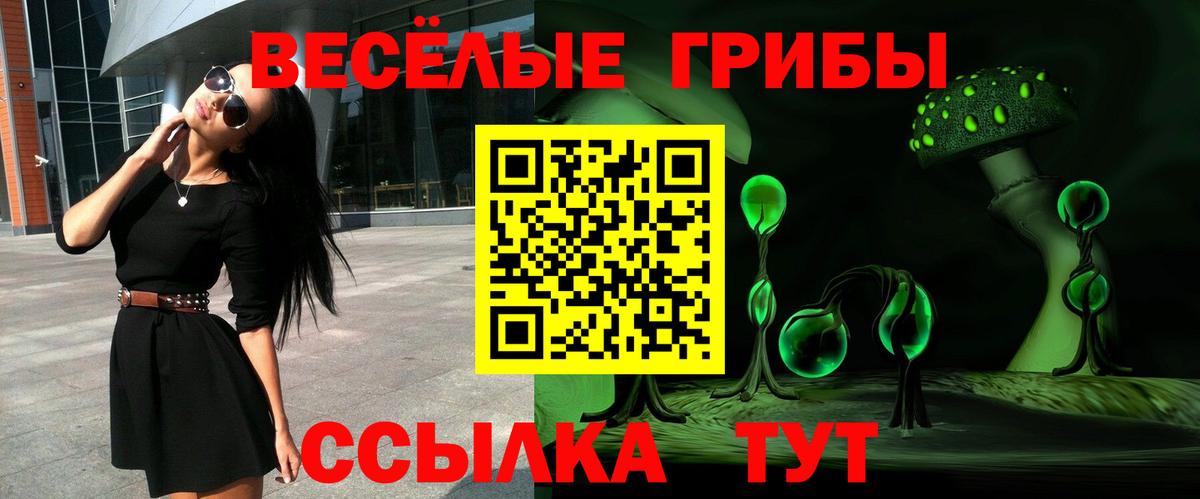 Батайск  Псилоцибиновые грибы Cubensis  Псилоцибиновые грибы прущие грибы  Вход с VPN 