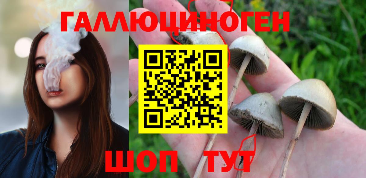 Галлюциногенные грибы прущие грибы Батайск